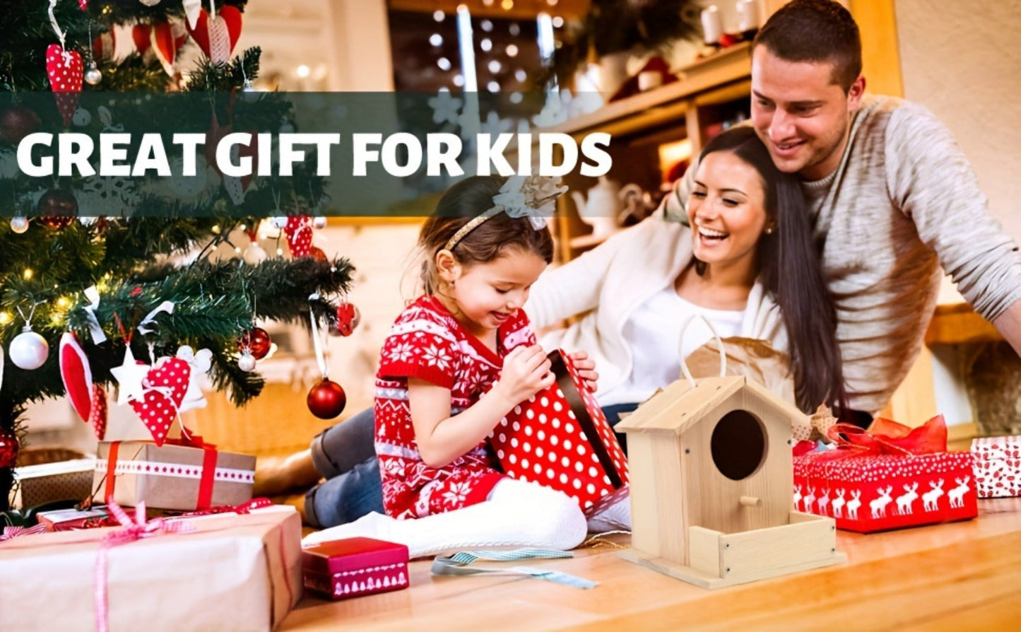 Wooden Birdhouse Build and Paint Craft Kit with Panels, Fasteners, Paints and Brushes in One or Two Packs