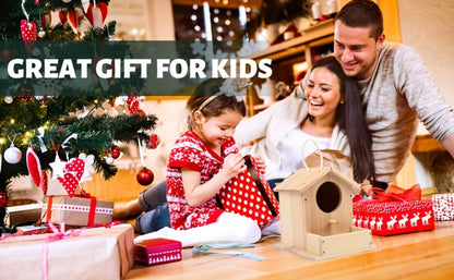 Wooden Birdhouse Build and Paint Craft Kit with Panels, Fasteners, Paints and Brushes in One or Two Packs