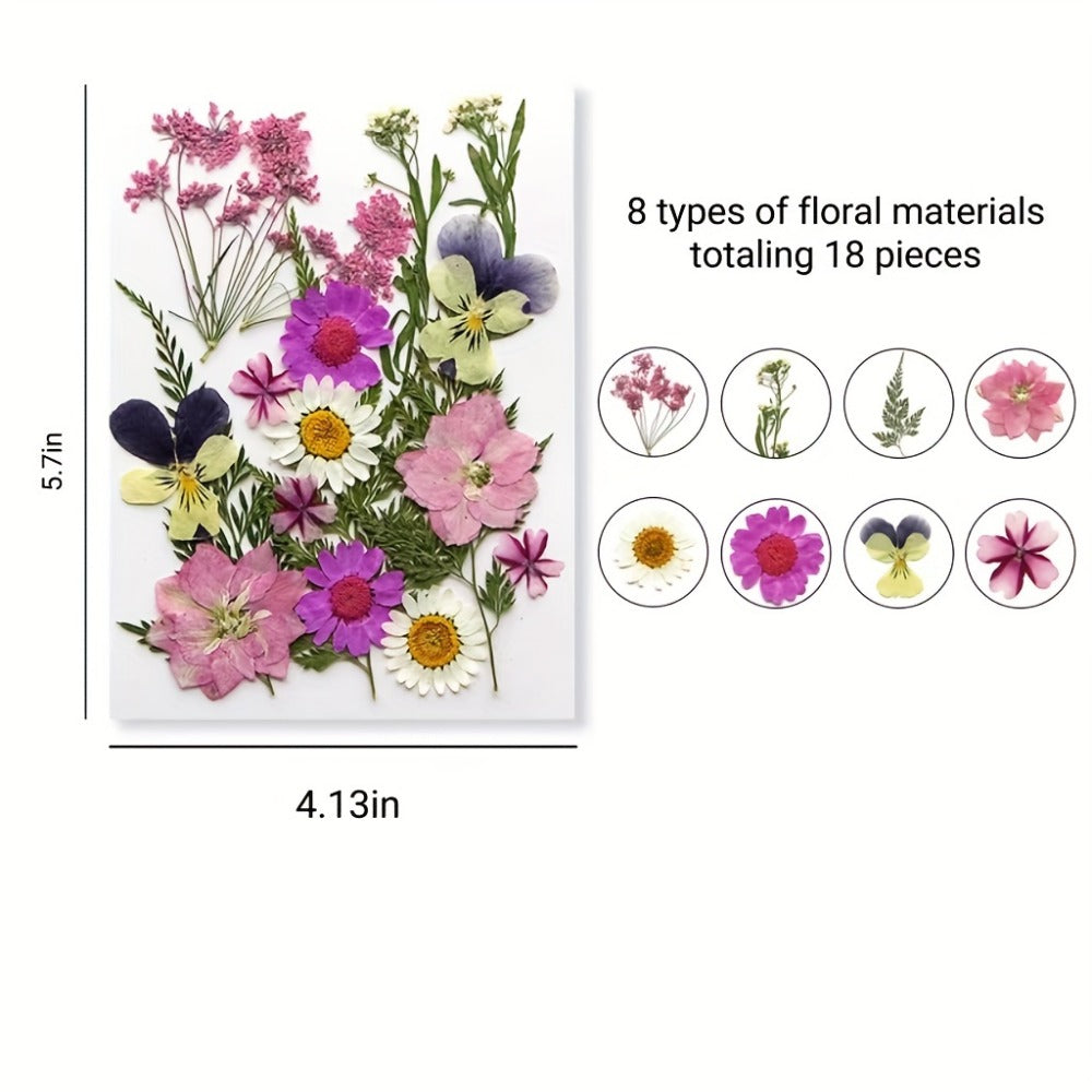 Pressed Flower Craft Set in 189, 238, 287 or 319-Piece Mixed Packs for Resin and Paper Projects