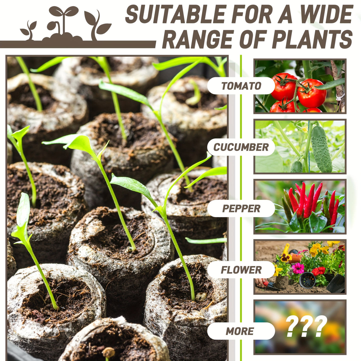 Compressed Seed Starter Pellet Set with Displayed 35 mm Discs in Protected 50-Piece or 100-Piece Options