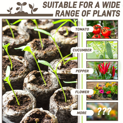 Compressed Seed Starter Pellet Set with Displayed 35 mm Discs in Protected 50-Piece or 100-Piece Options