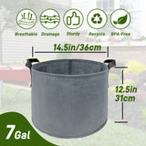 7 Gallons