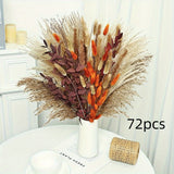 PPHS72pcs