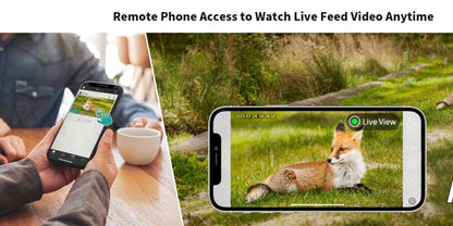 4G LTE Solar Trail Camera with App Alerts, Live View and Built-In SIM in One- to Four-Camera Packs