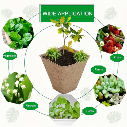 Seed Starter Pot Trays with 100 Small Square Cells, Drainage Openings and Natural Brown Molded Construction