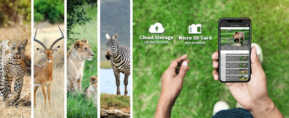 Solar Powered 4G Trail Camera 4K Live View 0.2s Trigger Speed 120° Wide Angle 850nm Night Vision No WiFi Needed Cellular Hunting Wildlife Game Camera with Remote Phone Access
