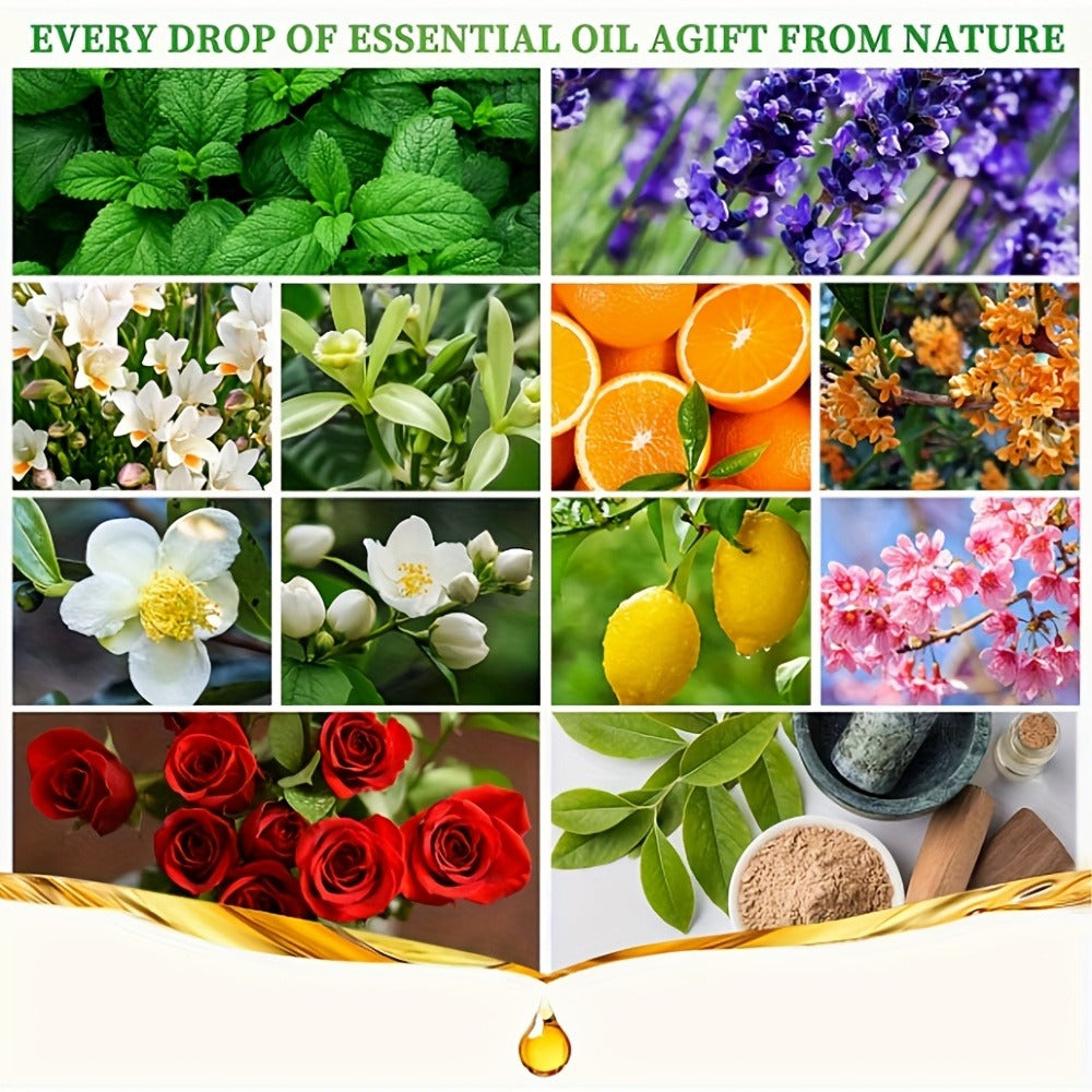 Floral and Fruity Fragrance Oil Gift Set with Choice of 12 or 24 Mini 5ml Bottles for Diffuser Use