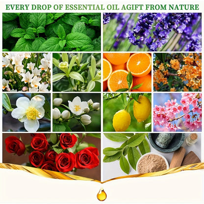 Floral and Fruity Fragrance Oil Gift Set with Choice of 12 or 24 Mini 5ml Bottles for Diffuser Use