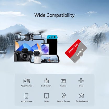 MicroSD Memory Card 10-Pack in 128MB, 256MB or 512MB Capacity Options with Two Full-Size SD Adapters