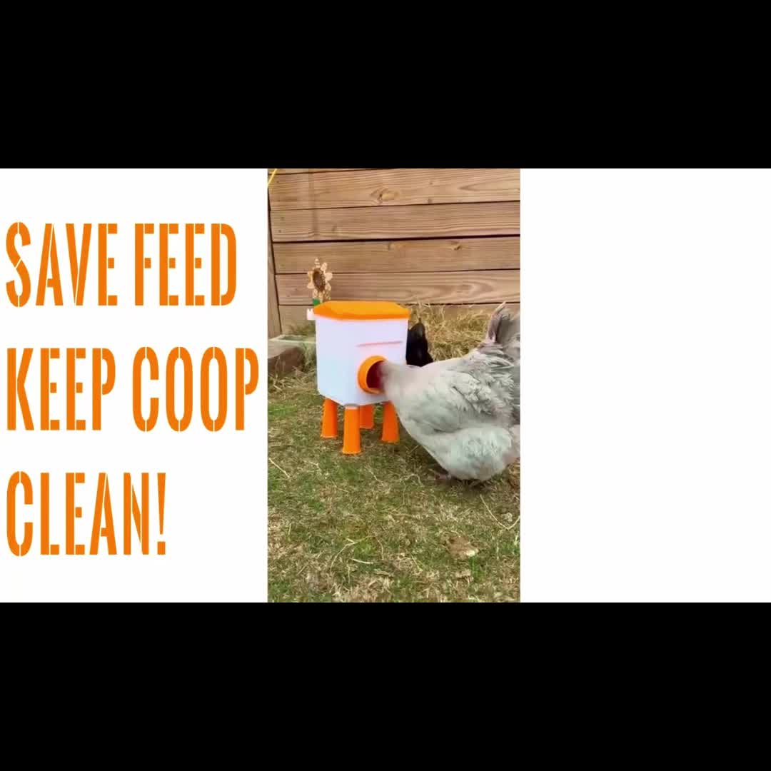 Chicken Waterer Float Ball 2 3 Gallon Feeder Combo Set for Garden, Patio and Yard Use, with the Listed Configuration