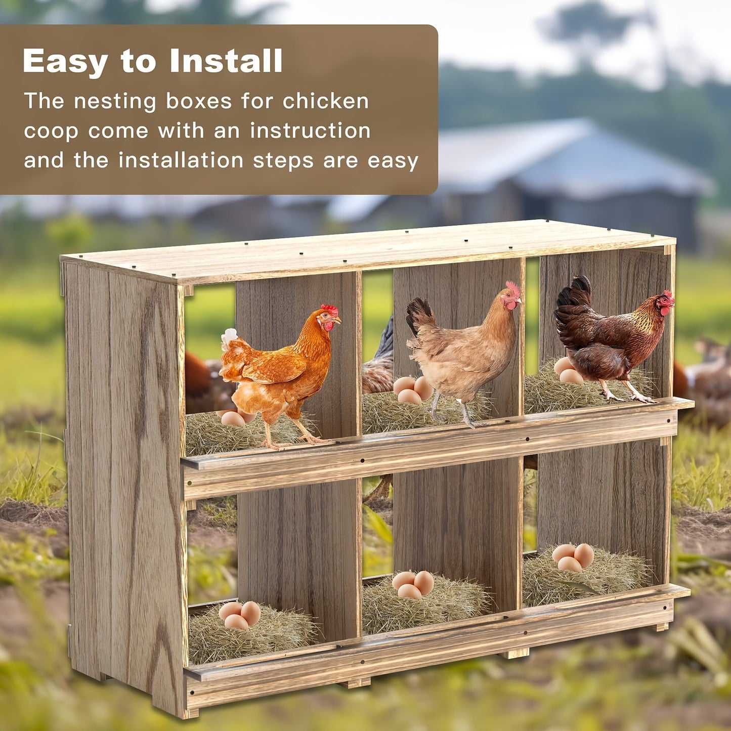 Chicken Nesting Box Wall Mount 4 Compartment Easy Egg Collection