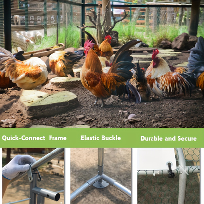 Walk-In Metal Poultry Enclosure in Six Size Options with Mesh Walls, Door and Partial Roof Cover