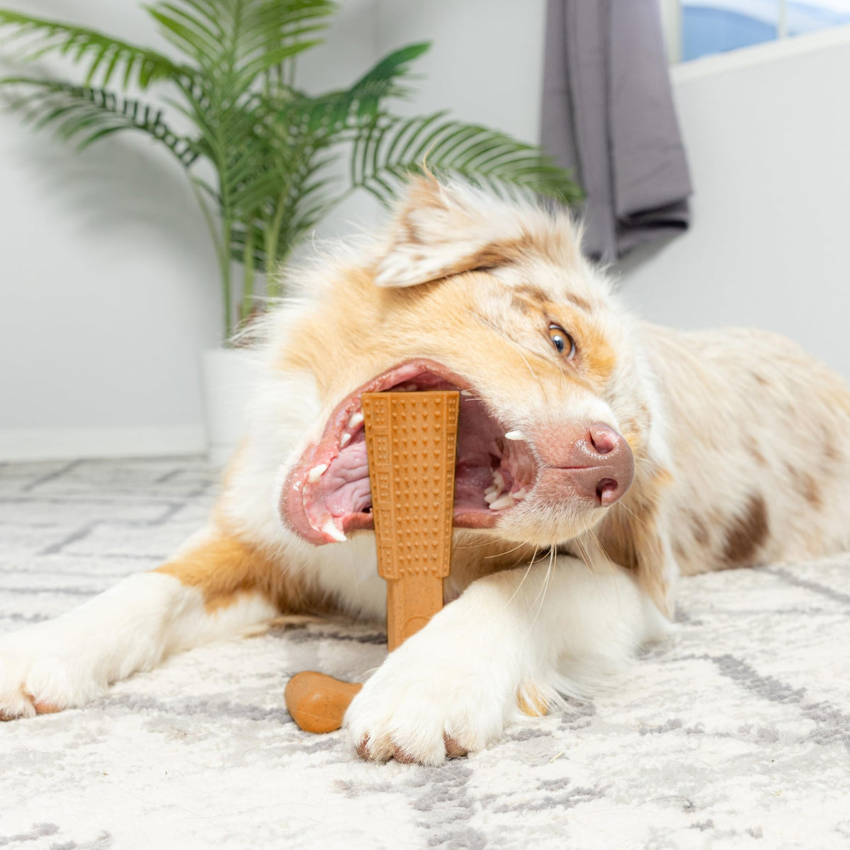 T-Shaped Textured Dog Chew Toy in Brown with Raised Nubs and Approx. 7.28 x 5.59-Inch Size