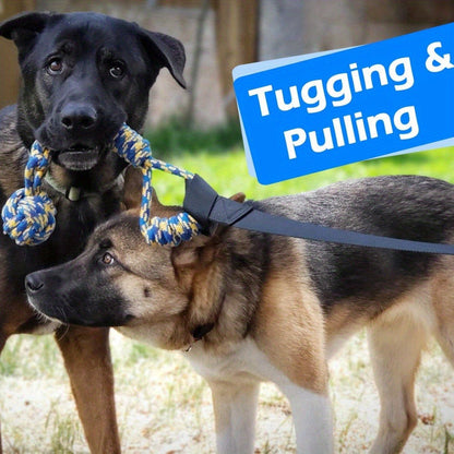 Dog Toy Outdoor Hanging Bungee Tug with Adjustable 19.7-Foot Elastic Cord, Soft Loop and Chew Rope