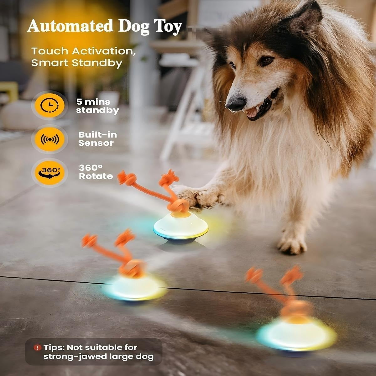 Dog Toy Motion-Activated Auto-Rolling Ball with Voice Recording, Rope and White or Gray Options