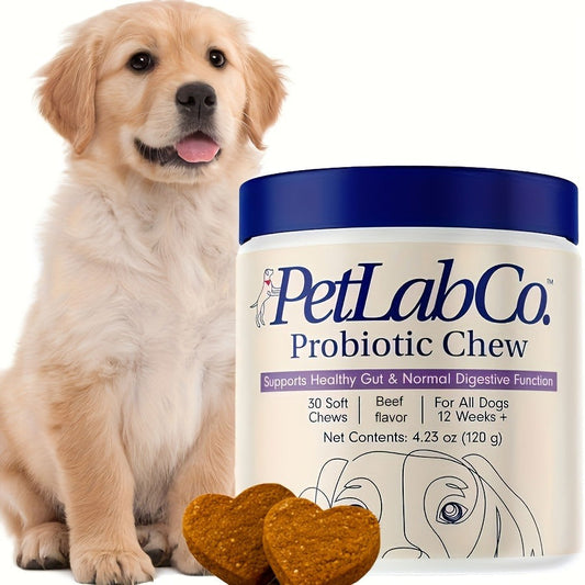 Dog Probiotic & Prebiotic Chewable Treats with Natural Ingredients - Supports Gut Health & Quality of Life for All Breeds, Daily Wellness Soft Chews for Dogs, 1pc & 3pc Value Pack