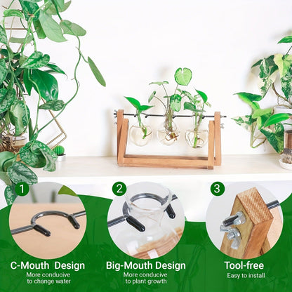 Three-Bulb Plant Propagation Station with Removable Glass Vases and 11-Inch Folding Wood Stand