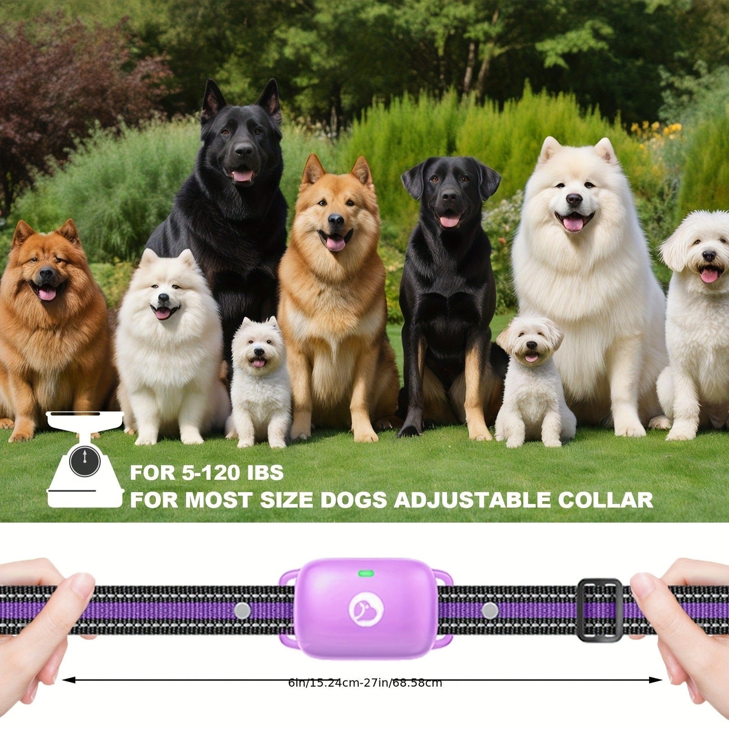 Dog Training Collar with Remote – Rechargeable E-Collar with 2600Ft Range, Beep, Vibration & Shock Modes, Security Lock | 1, 2 or 3 Dog Sets