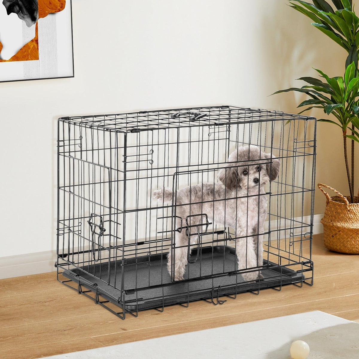 Folding Wire Dog Crate in 24, 30 or 36 Inches with Divider, Removable Tray and Door Options
