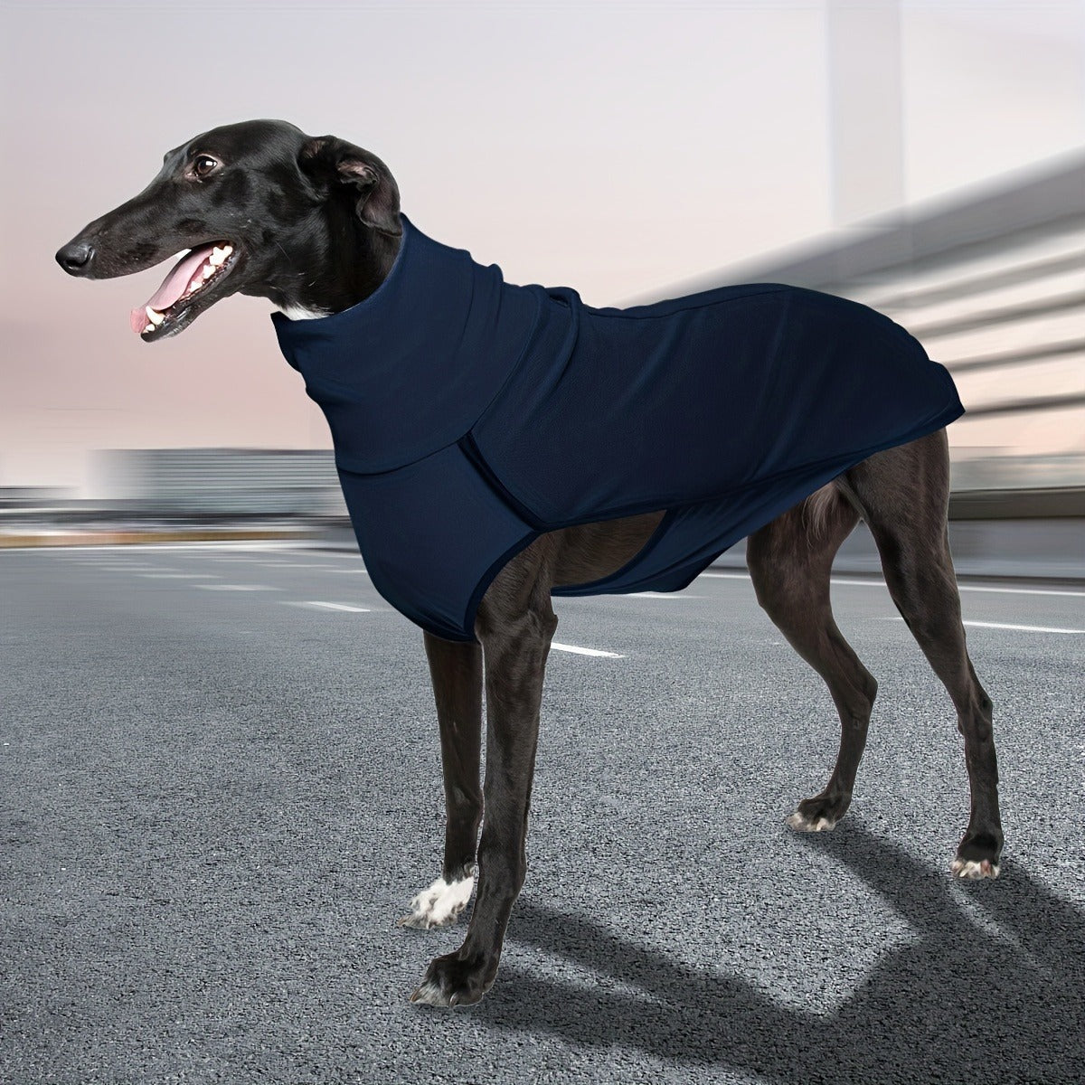 High-Neck Pullover Dog Coat in Burgundy, Navy or Fern Green with Selected XL Through 4XL Sizes