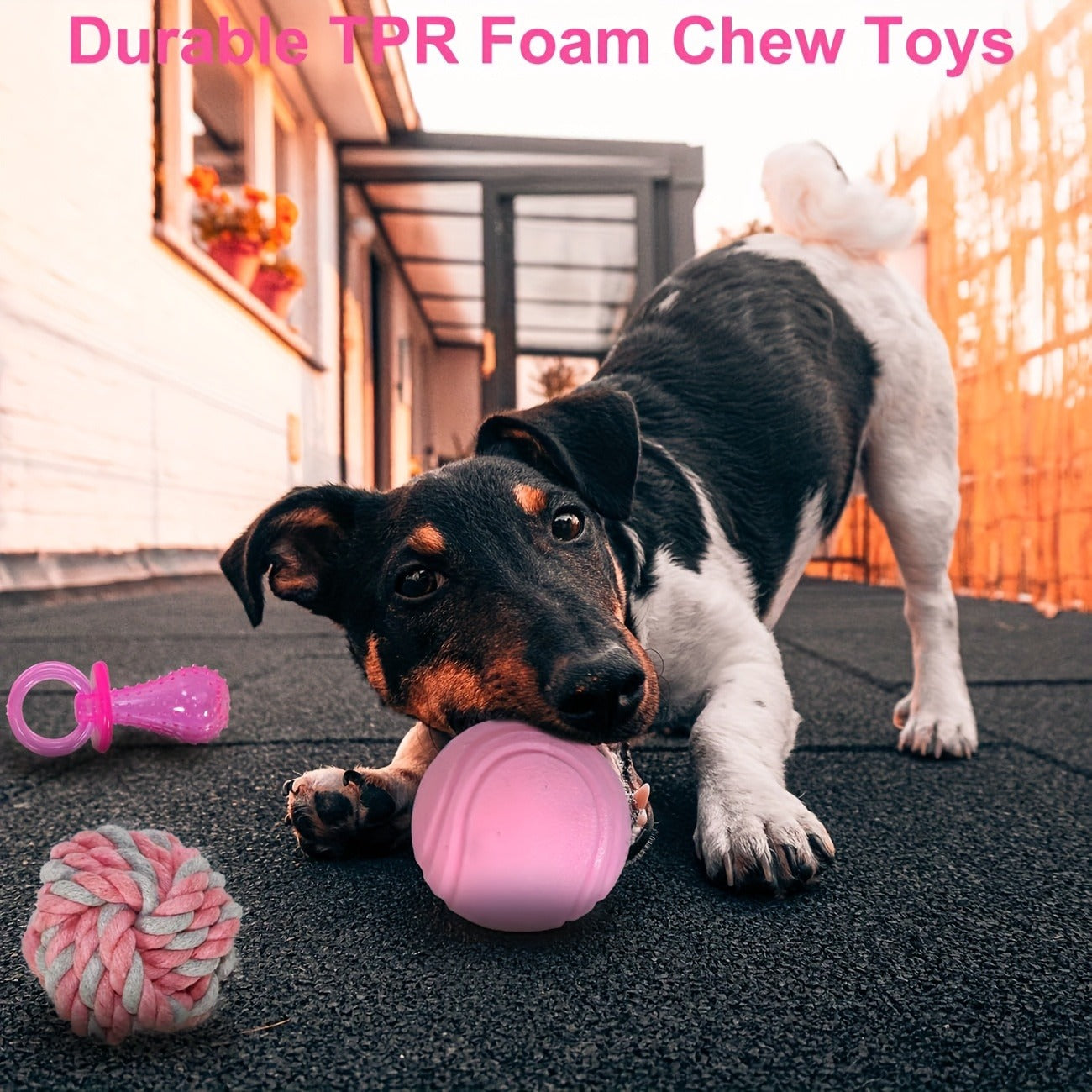 Dog Toy Pink Puppy Chew Bundle with Textured Toothbrush Shapes and Balls in Random 5 or 8 Pieces