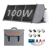 100W panel