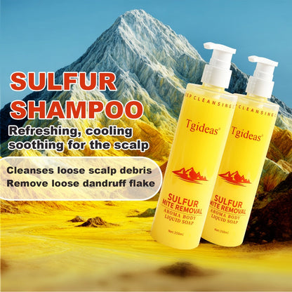 Sulfur Shampoo & Body Wash 2-in-1 Set — Scented Sulfur Soap Cleansing Liquid for Gentle Daily Scalp Purifying & Full Body Cleansing