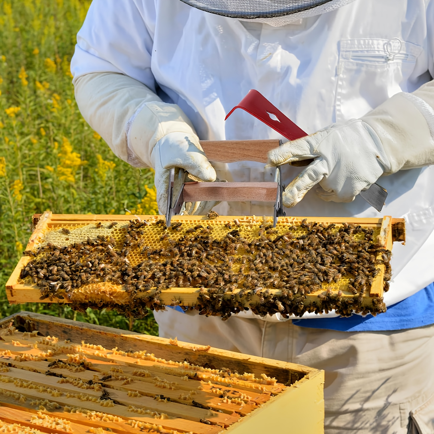 12-Piece Beekeeping Starter Kit with Veil, Gloves, Bee Smoker, Brush, Frame Grip and Hive Tools