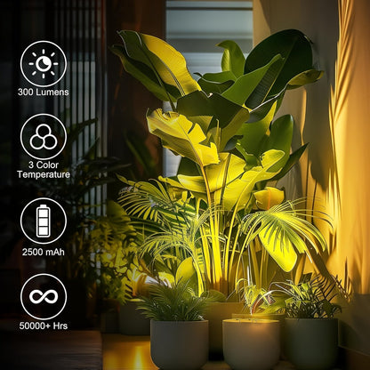 Rechargeable Indoor Spotlight LED – 3-Color Dimmable with Remote & Timer, 350° Adjustable, 2500mAh Battery, Magnetic Base Wall Accent Light for Pictures, Plants & Artwork (White / Black, 1 or 2 Pack)