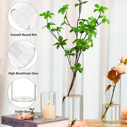 Clear Glass Cylinder Vase Set with 4-, 8- and 12-Inch Heights in 18- or 36-Piece Options for Table Displays