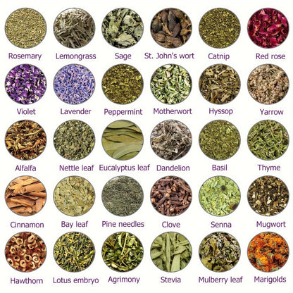 Dried Herbs Kit 30 Packs for Wicca Witchcraft Rituals Altar Supplies Magic Spells with Metal Spoon Witch Starter Set Halloween Gift for Her Him