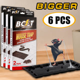 Bigger Rat Trays (6 Pcs)