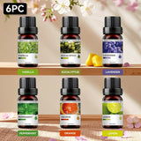 Vanilla + Eucalyptus + Lavender + Mint + Orange + Lemon