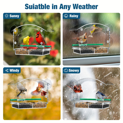Window Bird Feeder - Clear Acrylic Suction Cup Bird Feeder for Birdwatching