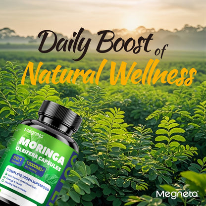 Herbal Supplements with Megneta Label, Moringa Oleifera 12000mg per Serving, 60 Capsules per Bottle