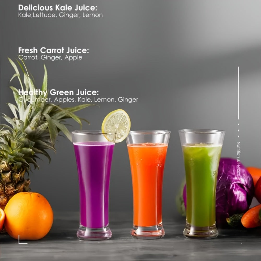 500W Centrifugal Juicer Machine with 3-Inch Feed Chute, Two Speeds and Upgrade or Juicer Configurations