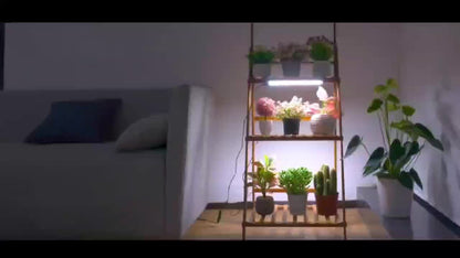 Grow Light | Full Spectrum 270 LED Timer Dimmable Indoor Plants Seedling