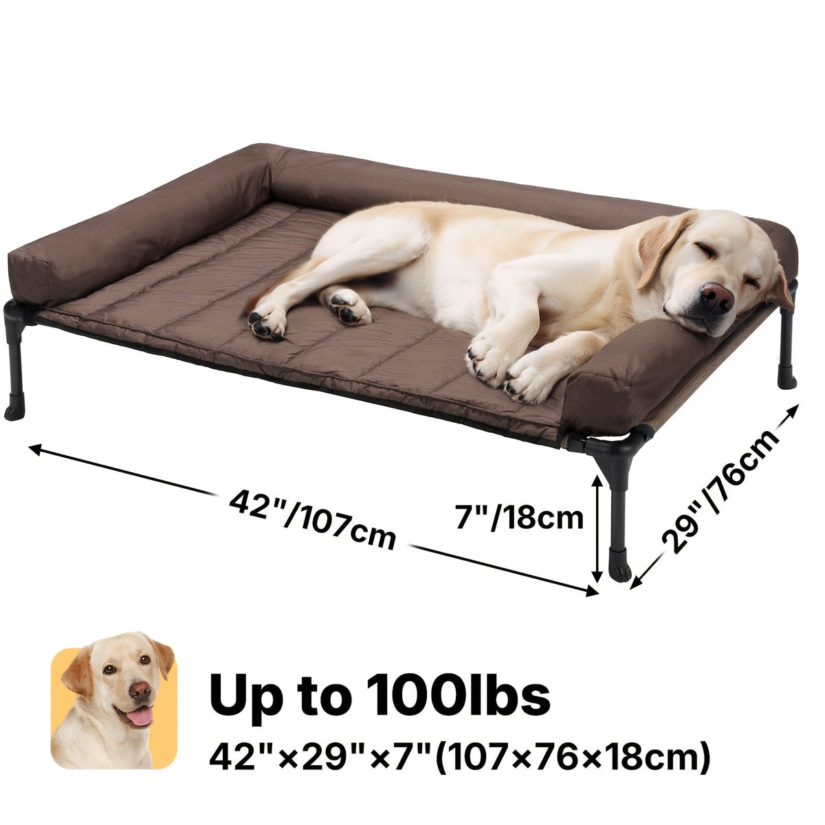 Elevated Dog Bed with Teslin Mesh Cot, Powder-Coated Steel Frame and Removable Bolster Top in Four Sizes