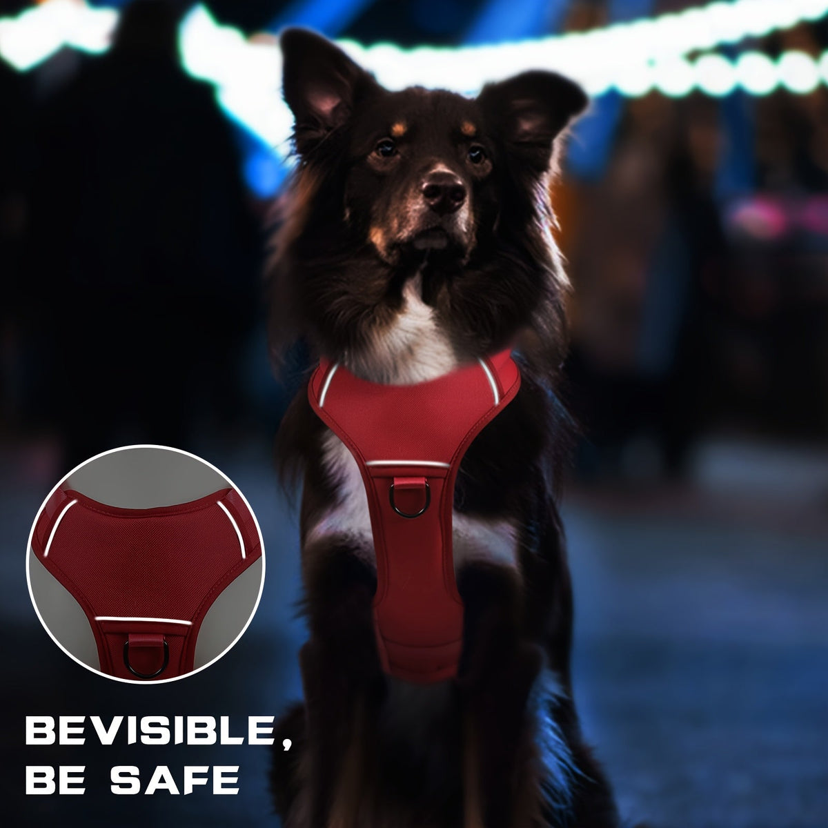 Full-Body Dog Vest Harness with Dual Top Handles in Six Colors and S, M, L or XL Sizes Pictured