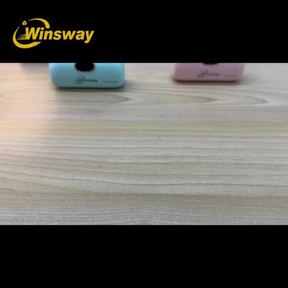 Winsway 5000mAh Mini Portable Charger Type-C Metal Plug with LED LCD Display – Fast Charging Pocket Battery Pack for iPhone 17 16 15 Pro Max iPad Pro Android Samsung, Compact Travel Gift