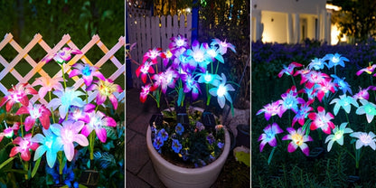 Solar Garden Light Blooming Lily Stakes with 7-Color LEDs and 2, 4 or 12-Pack Options for Outdoor Garden Decor