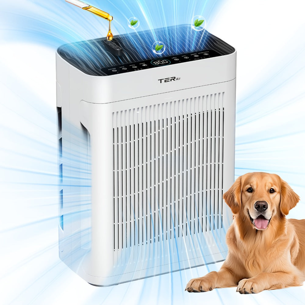 Air Purifier with H13 HEPA Filter, 2500 Sq Ft Coverage, PM2.5 Sensor, 22dB Mode and Two Colors