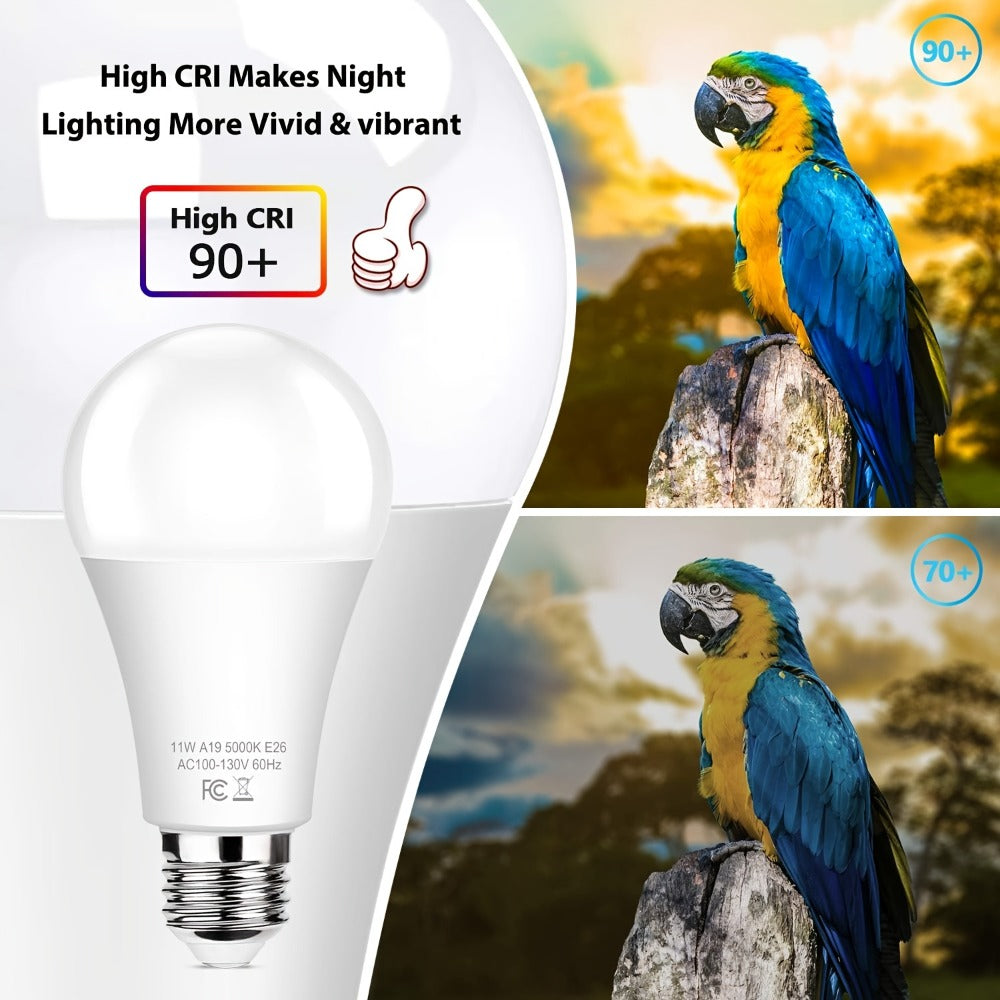 Dusk-to-Dawn A19 LED Sensor Bulbs, 9 W, 800 Lumens and 5000 K Daylight with E26 Base in 4 or 12 Packs