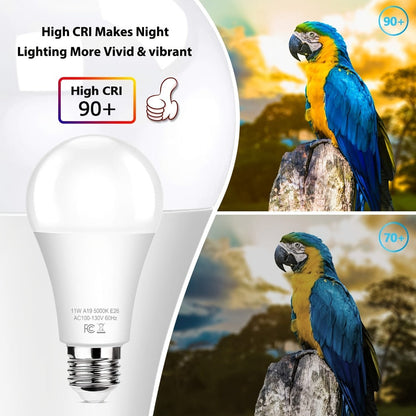 Dusk-to-Dawn A19 LED Sensor Bulbs, 9 W, 800 Lumens and 5000 K Daylight with E26 Base in 4 or 12 Packs