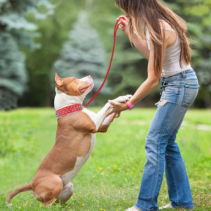 Rivet-Studded Dog Collar and Matching Leash Set with Metal Buckle, Five Colors and XS–XXL Sizing