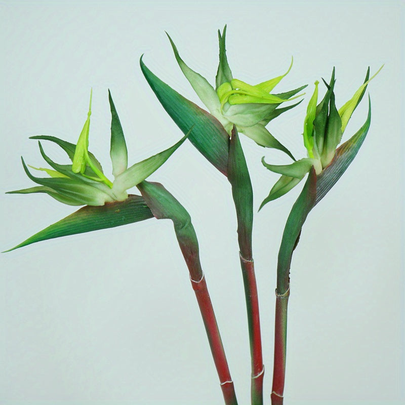 Artificial Bird of Paradise Flower Stems, Three-Piece 24.5-Inch Rubber-Labeled Set in Four Colors