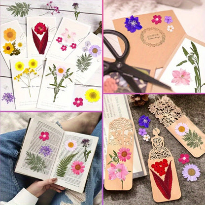 Pressed Flower Craft Set in 189, 238, 287 or 319-Piece Mixed Packs for Resin and Paper Projects