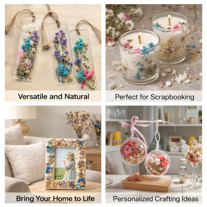 Four-Box Random Dried Flower Craft Set for Resin Jewelry, Candles and Cards with Mixed Color Assortment