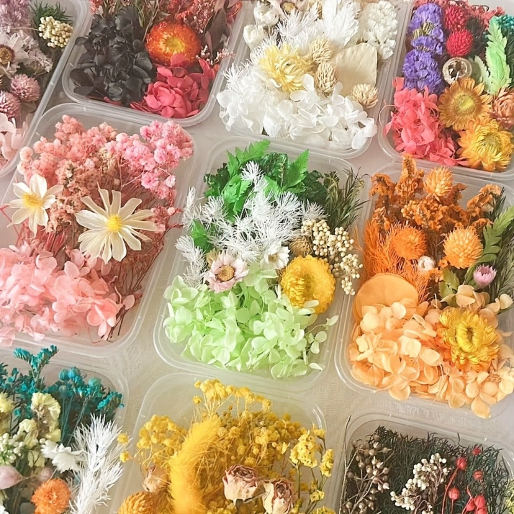 Dried Flowers 4 Boxes Mixed Colors - Natural Dried Floral Set for Candle Making, Resin Jewelry, Greeting Cards, Photo Frames, Scrapbooking & DIY Craft Decoration