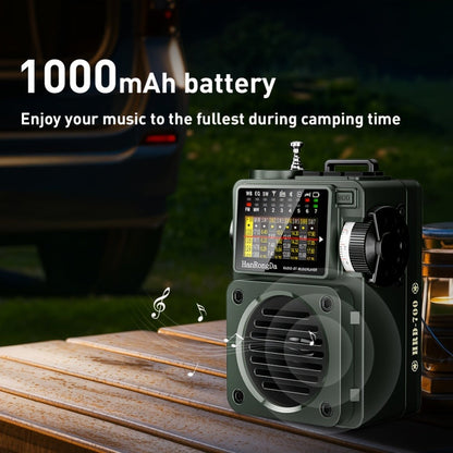 Shortwave Radio Bluetooth Speaker HRD-700 with FM MW SW WB NOAA Weather Alerts, MicroSD, ATS Presets, Rechargeable Retro Portable Radio for Camping Emergency Home Use